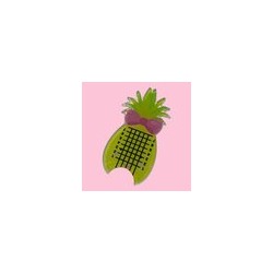 Medidor de tip piña