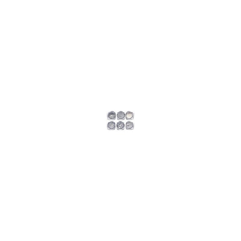 Kit 6 piezas efecto plata